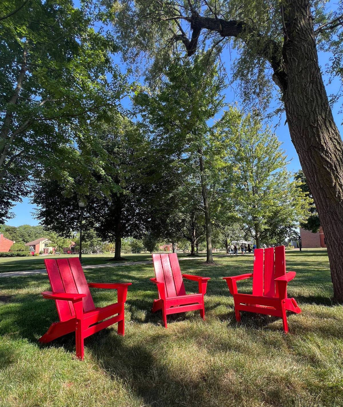 Cedar Outdoor Furniture — Adirondack chairs in a sunlit garden